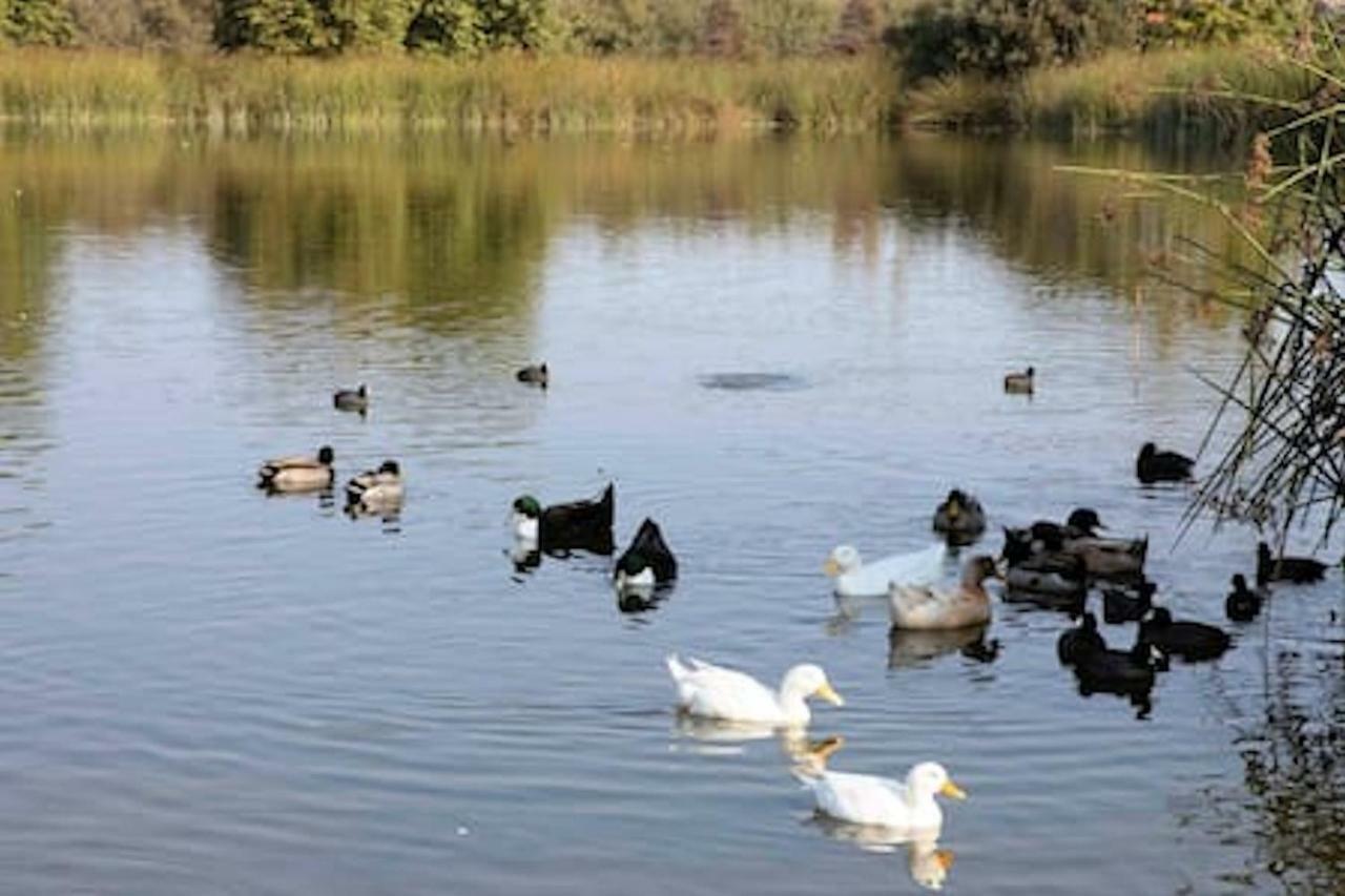 Oceano: Short Walk To Beach, 4 Bedroom 2 Bath, Private House! Across Street From Park & Pond Zewnętrze zdjęcie